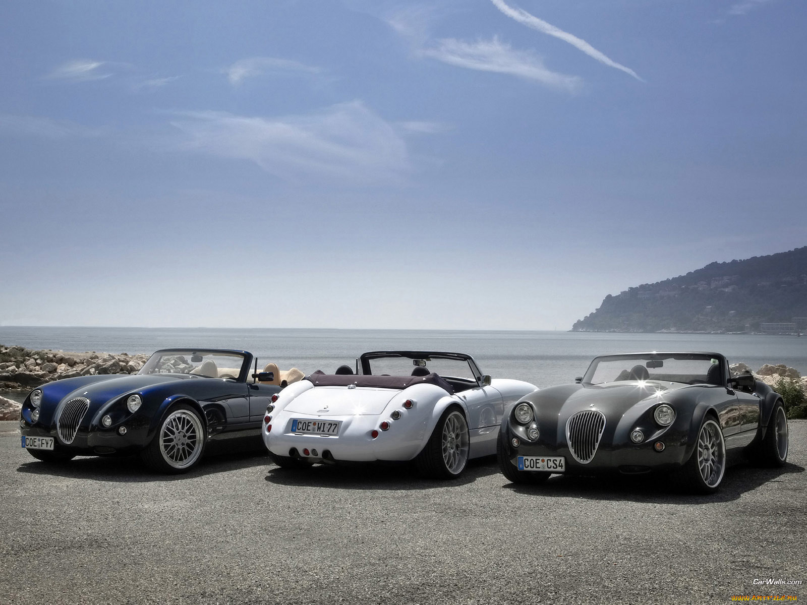 , wiesmann
